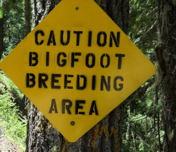 bb16b5da6301fbbc405a54d267298355